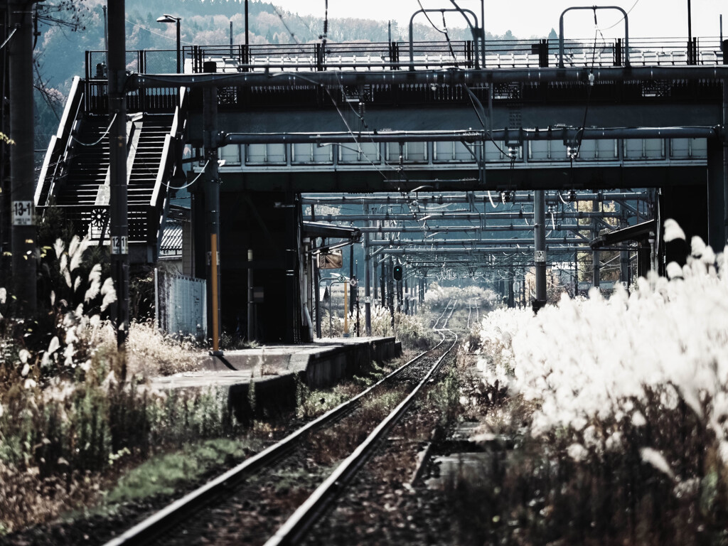 ローカル駅の秋