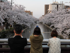 撮ってばかりなり