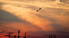夕暮れ　