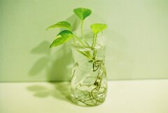 花瓶