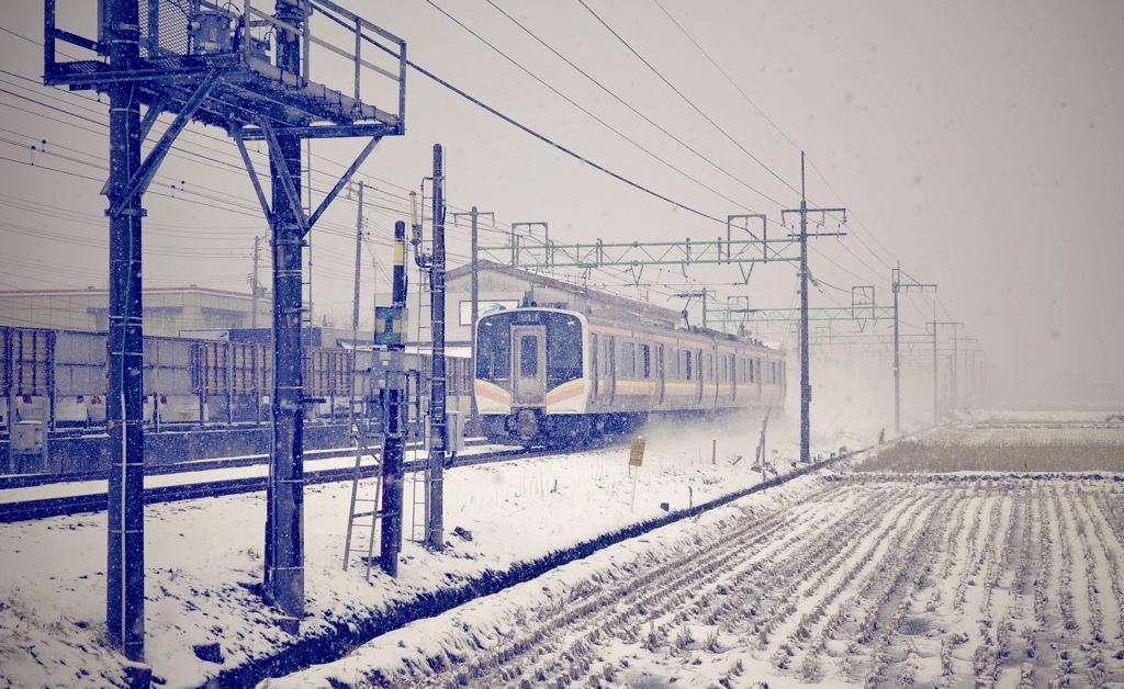 雪の中を