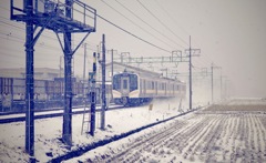 雪の中を