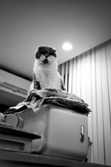 そこを降りなさい