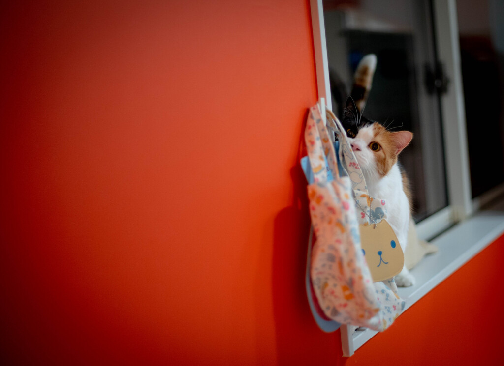 オレンジの部屋