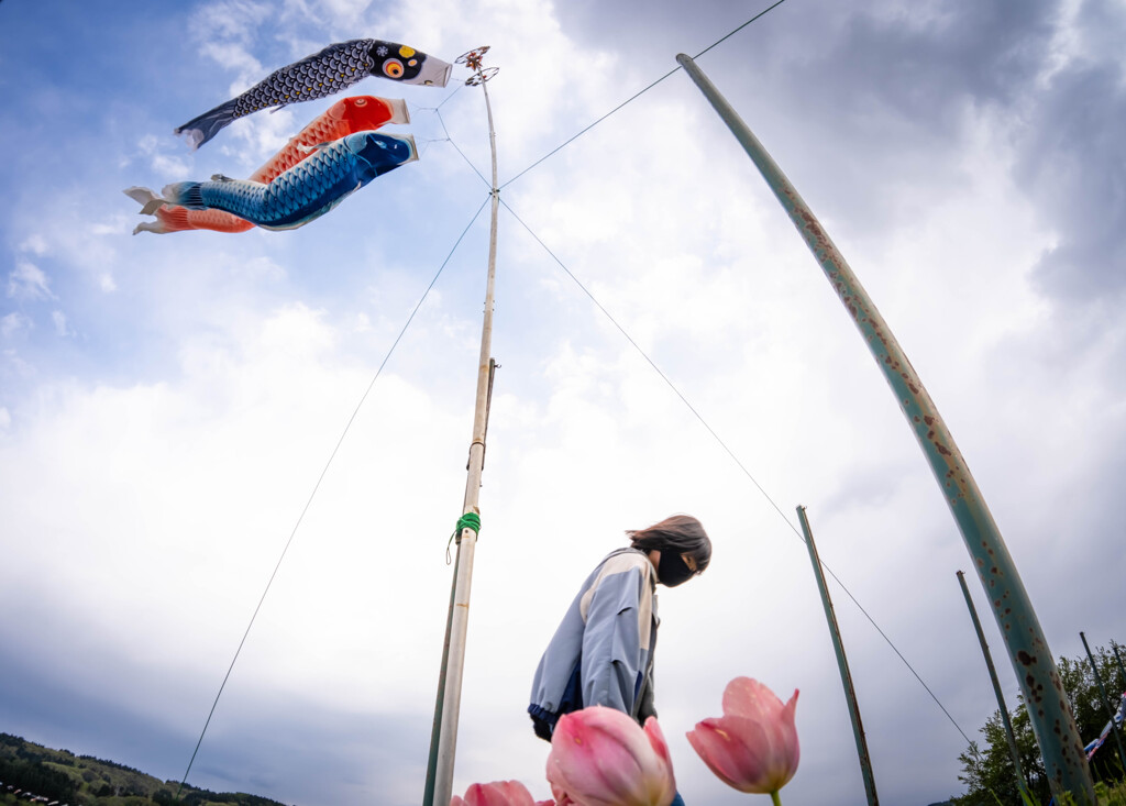 ５月