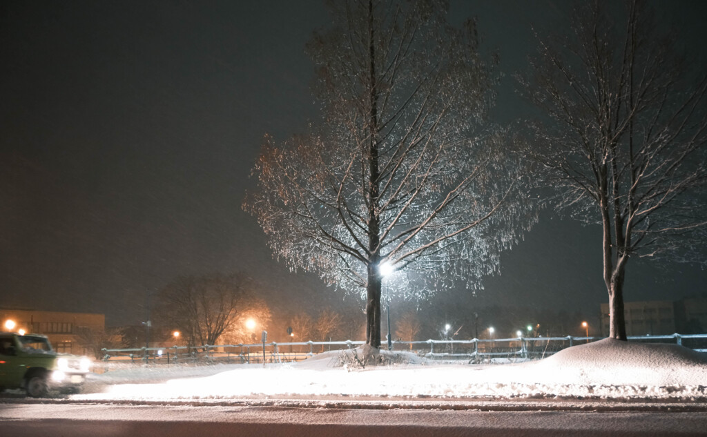 雪の降る町