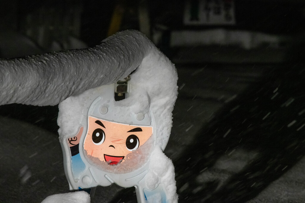寒そう