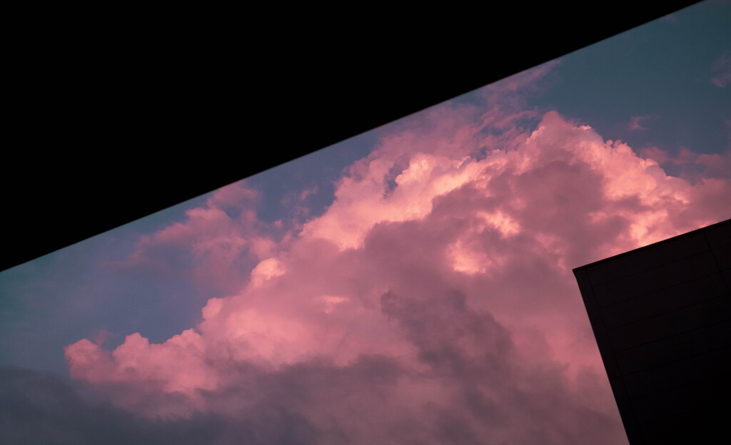切り取られた空