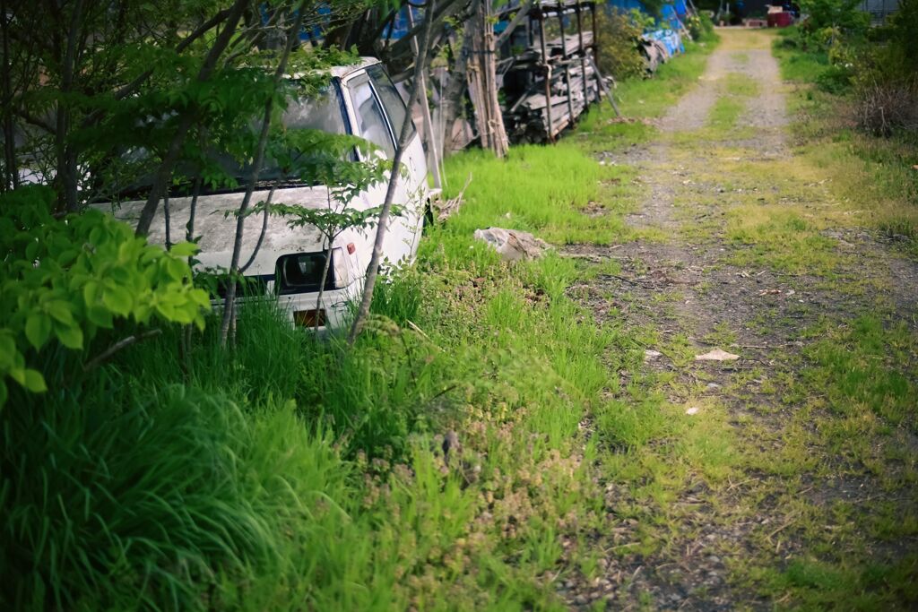 休日の散歩にて