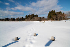 隠された公園