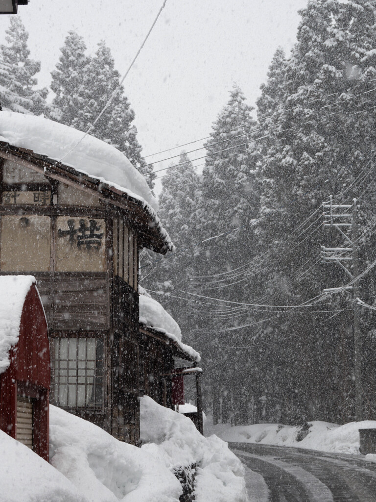 豪雪地帯にて
