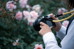花を撮る
