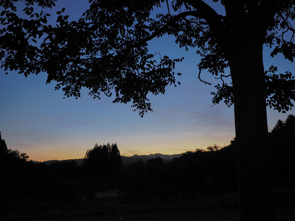 秋　夕暮れ