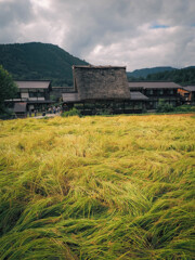 田園風景