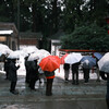 雨の初詣