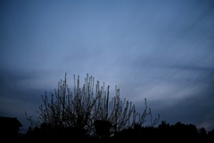 夕刻