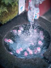 涼し気な。