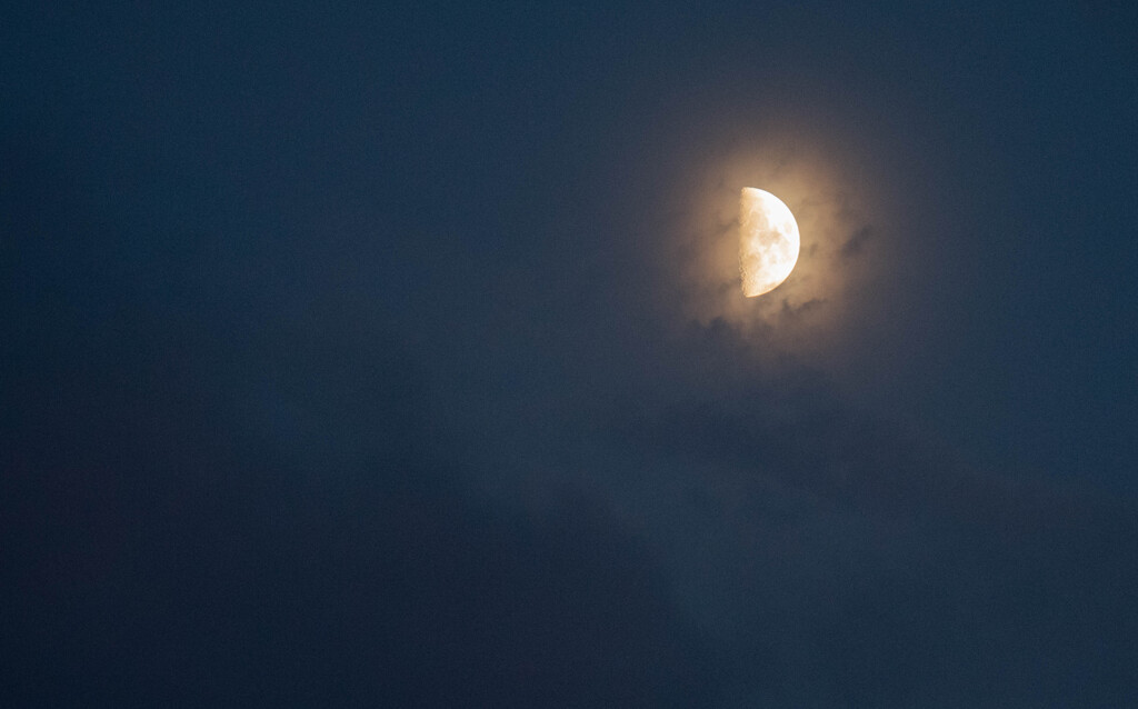 おぼろ月夜