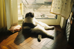 まったり