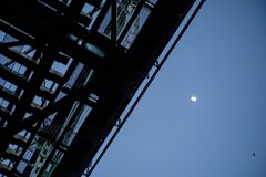 鉄橋　月　こうもり