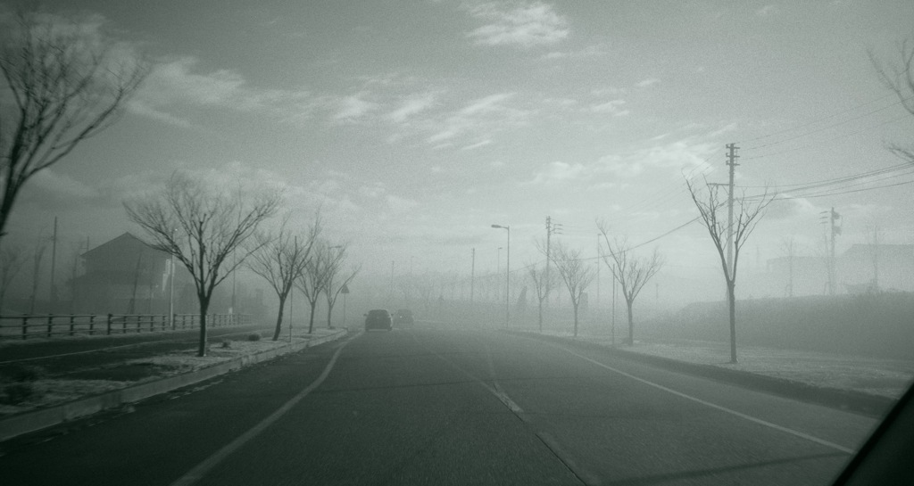 霧の朝