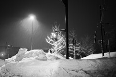 雪と信号