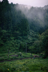 山奥の線路