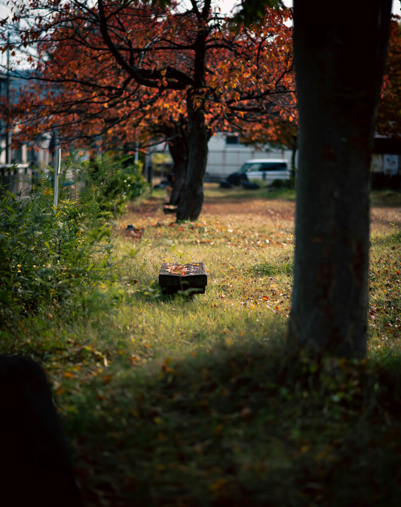 公園のベンチ