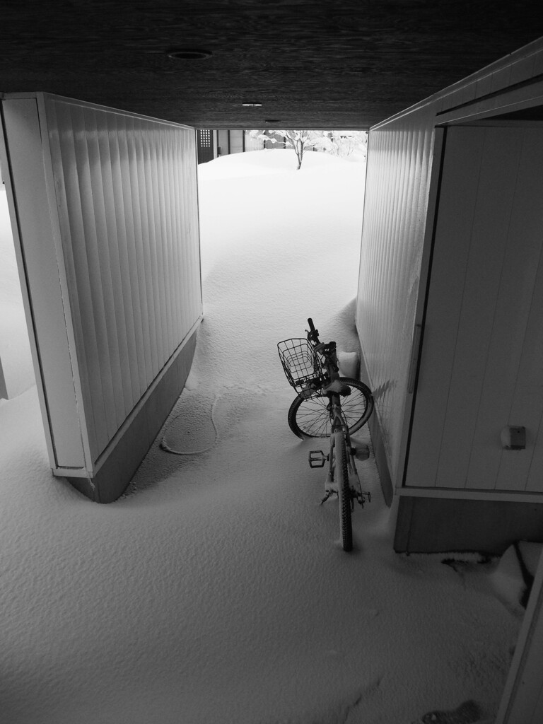 雪と自転車