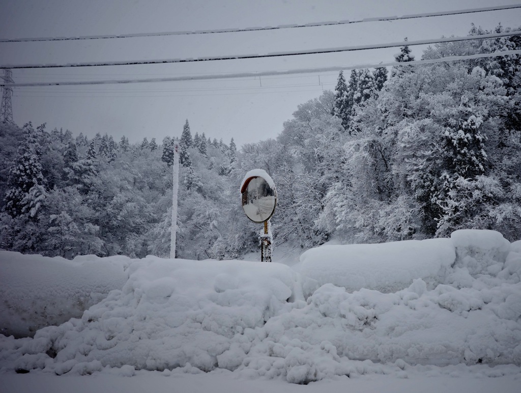 雪中のミラー