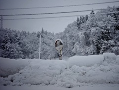 雪中のミラー