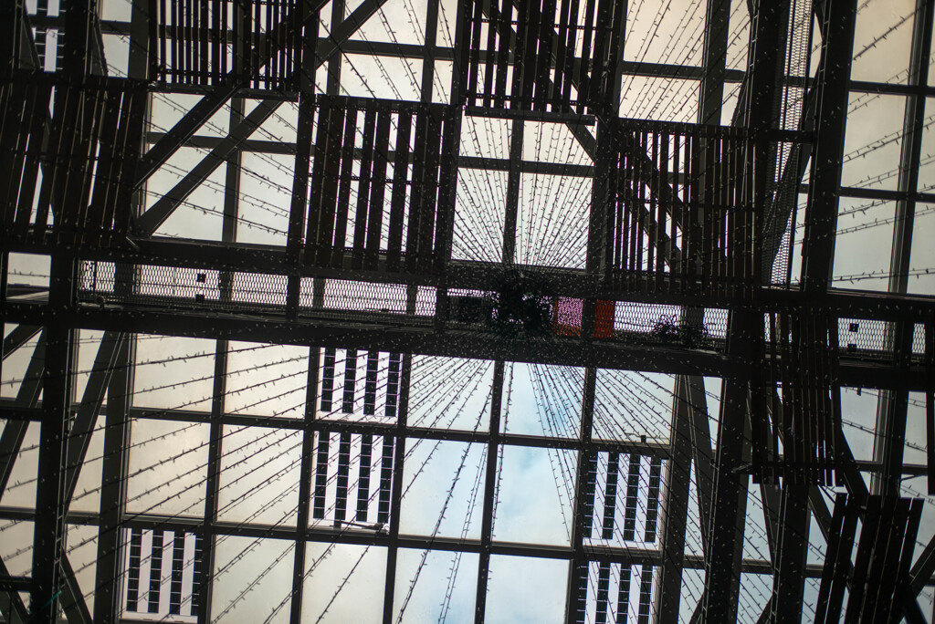屋根