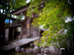 寺の秋