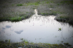 河原にて