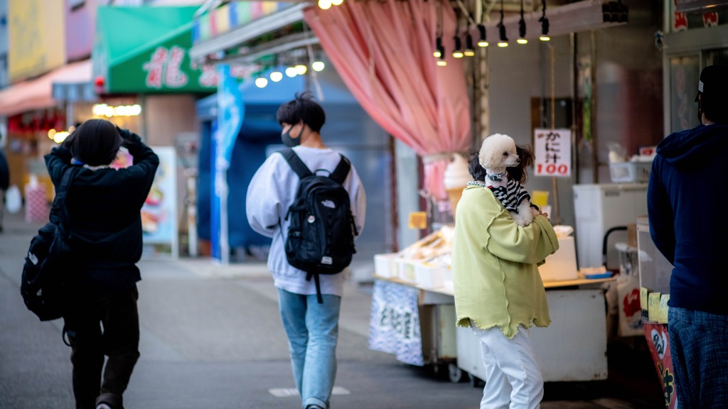 寺泊にて