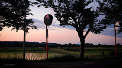 夕暮れと田んぼ