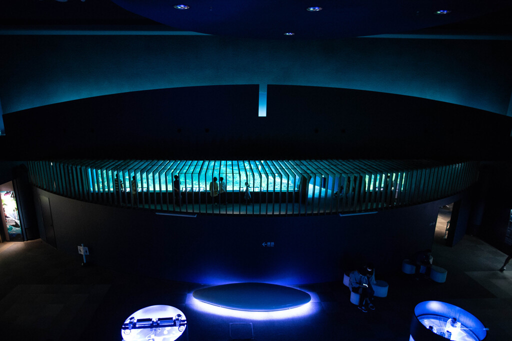 水族館にて