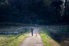 散歩道