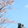 青空と桜の下で