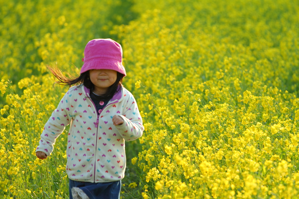 菜の花畑をかける少女