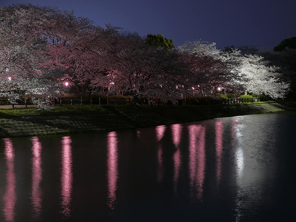 立岡自然公園