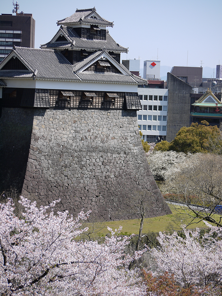 お城と桜