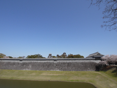 どこまでも広がる空