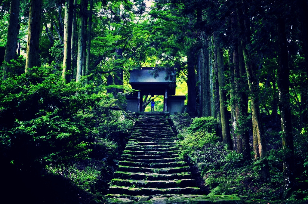 山道に佇む