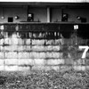 No.7