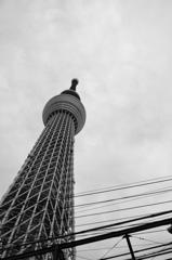 東京スカイツリー