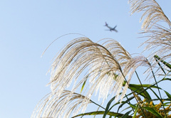 秋の空