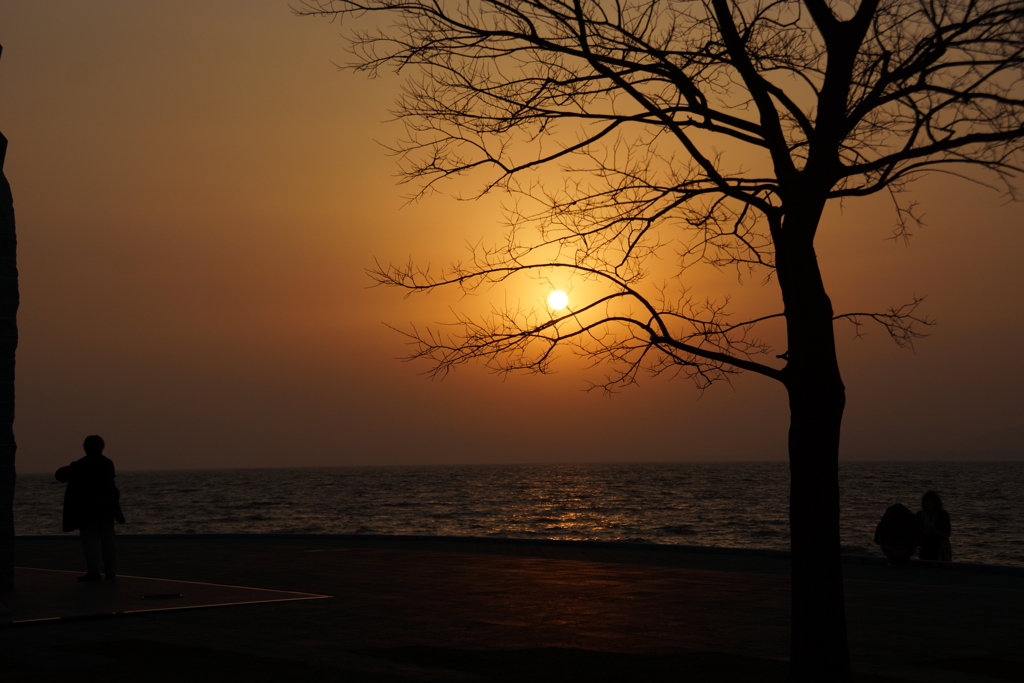 宍道湖の夕日その２