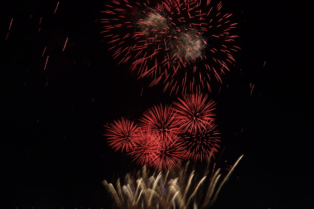 淀川花火05