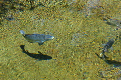 DSC08360